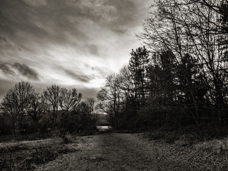 Obraz premium OLYMPUS DIGITAL CAMERA - BNW SKY