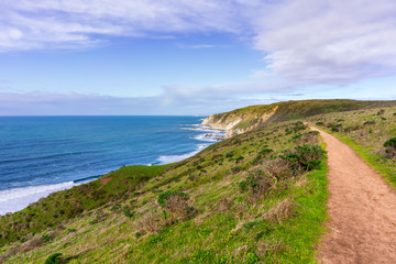 View of the Pacific Ocean coastline, with green grass covering cliffs and bluffs, on a sunny day,...