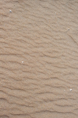 Dune di sabbia sulla spiaggia