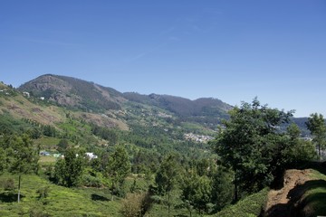 view of mountain with green trees and blue sky