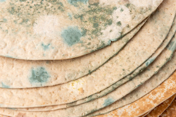 Tortilla with mold isolated on white background.