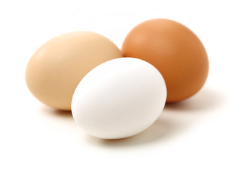 eggs on white background