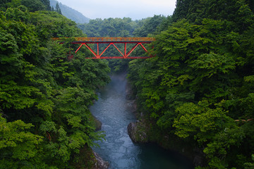 Fototapeta premium 春の渓谷（山形県小国町）