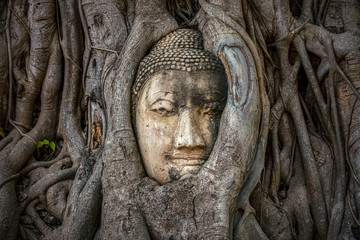 Buddha head trapped in bodhy tree roots in Wat Mahathat Temple, Ayutthaya.  Bangkok province, Thailand