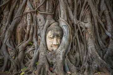 Ayutthaya historical park, Bangkok ,Thailand
