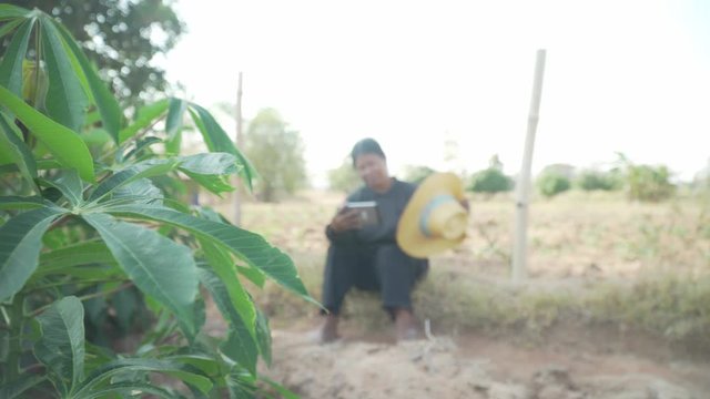 Smart woman farmer holding tablet standing in cassava field for checking her cassava field. Agriculture and smart farmer success concept. footage b roll scene video 4k.