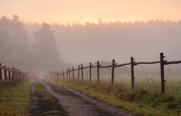 A road leading in a foggy forest 