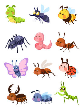 Cartoon insects. Cute grasshopper and ladybug, caterpillar and butterfly. Mosquito and spider. Fly, ant and mantis vector set