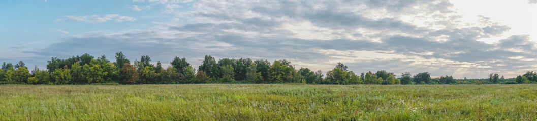 Panorama of a large green meadow on a cloudy day