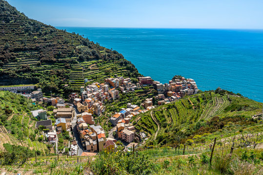 Manarola village as seen from the Trail 6p pass. Cinque Terre National parc in the Northwest of Italy.