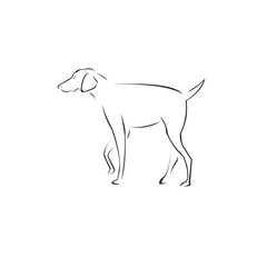 Vector Dog Head Black and White Logo, Sign, Design. symbol. Mammals. Illustrator. on white background