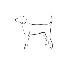 Vector Dog Head Black and White Logo, Sign, Design. symbol. Mammals. Illustrator. on white background