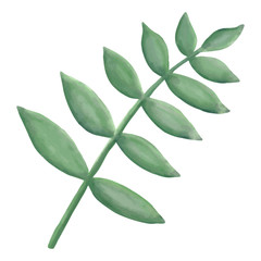 Watercolor plant clip art, vector