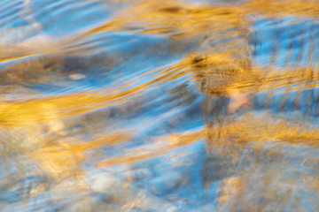 Water shapes and textures