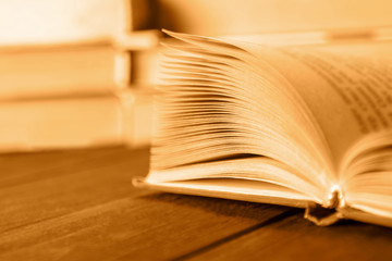 Open book close-up on the table in the library, selective focus, toning