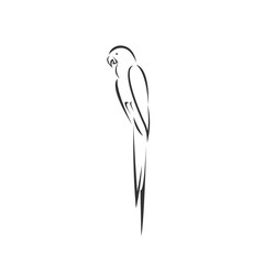 Vector of a parrot icon to animal Black and White Logo, Sign, Design. symbol. Illustrator. on white background