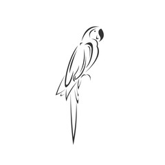 Vector of a parrot icon to animal Black and White Logo, Sign, Design. symbol. Illustrator. on white background