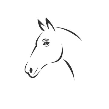 Vector of horse head  icon to animal Black and White Logo, Sign, Design. symbol. Illustrator. on white background
