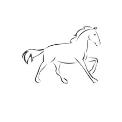 Vector Horse icon to animal Black and White Logo, Sign, Design. symbol. Illustrator. on white background