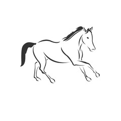 Fototapeta na wymiar Vector Horse icon to animal Black and White Logo, Sign, Design. symbol. Illustrator. on white background