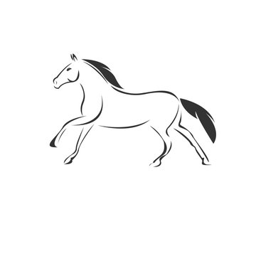 Vector Horse icon to animal Black and White Logo, Sign, Design. symbol. Illustrator. on white background