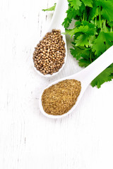 Coriander ground and seeds in spoons on board top