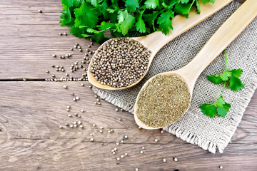 Coriander ground and seeds in two spoons on board top