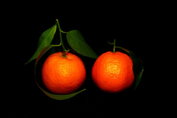 Two tangerines with leaves isolated on black