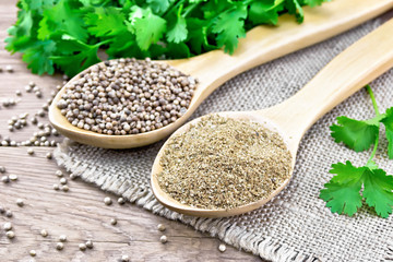 Coriander ground and seeds in two spoons on board