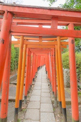 Fototapeta na wymiar 東京都文京区根津にある神社の朱色の千本鳥居