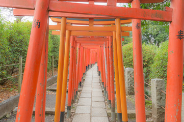 東京都文京区根津にある神社の朱色の千本鳥居