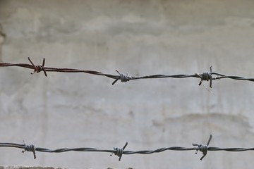 barbed wire on background of old wall