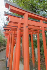 東京都文京区根津にある神社の朱色の千本鳥居