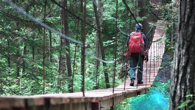 Man walking on a hanging bridge in National Park, USA. Stock footage. Rear view of a man hiker with backpack trekking in forest by hinged bridge