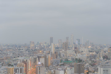 Fototapeta na wymiar 東京都文京区後楽園から見る曇りの日の東京の夕景