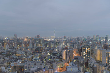 Fototapeta na wymiar 東京都文京区後楽園から見る東京の夜景