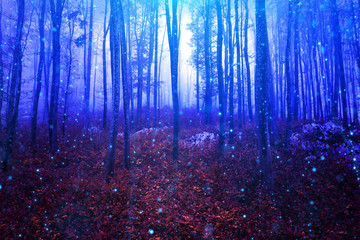 Magic fireflies in dark blue red foggy forest. Artistic woodland.