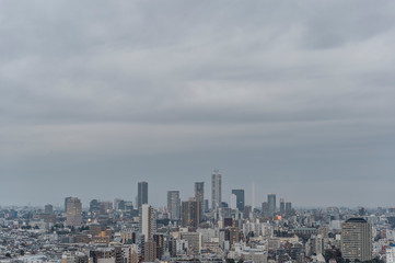 Fototapeta na wymiar 曇りの日の東京都文京区後楽園から見た東京の夕景
