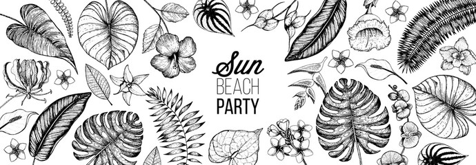 Tropical palm leaves design template. Floral illustration. Vector illustration leaves and flowers of palm frame. Tropical leaves and flowers collection. Botanical set vector illustration © DiViArts