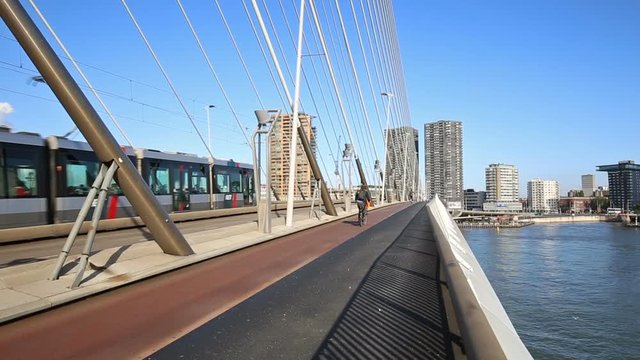 On The Erasmus Bridge In Rotterdam, Netherlands