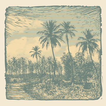 Tropical Landscape With Palms Trees And Clouds, Retro Engraving Style. Vector Illustration