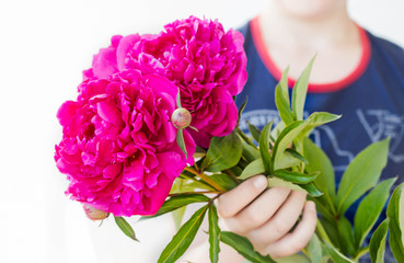 a man presents a bouquet of beautiful chic pink peonies to woman on International Women's Day or Valentine’s Day; a child congratulates his mother on Mother's Day
