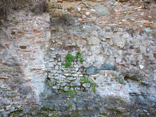 Old stone wall with plants