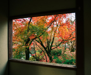 Autumn scenery in Arashiyama, Kyoto, Japan