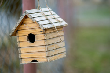 Small wooden bird house hanging on a tree branch outdoors.