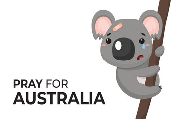 Vector cartoon koalas on a tree are sad and needing help from an Australian fires with the message "Pray for Australia".