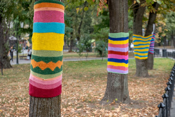 Trees wearing colorful knitted scarves in autumn park. Care about nature and environment concept.