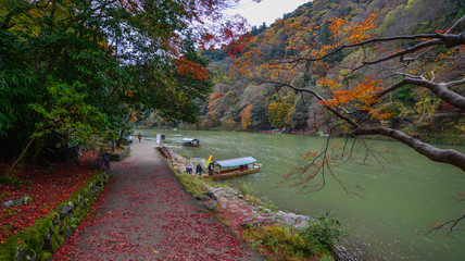 Colorful autumn season near Arashiyama river