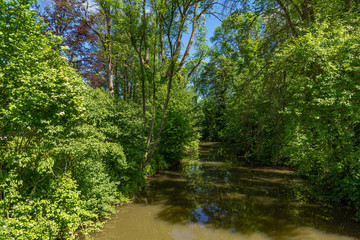 Fototapeta na wymiar Ein Fluß im Stadtpark