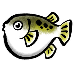 河豚のイラスト_カラー
